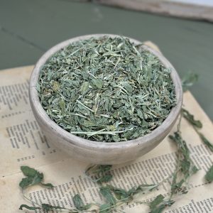 Спориш (Горець пташиний) (лат. Polygonum aviculare)