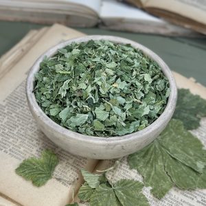 Смородина чорна лист (лат. Ribes nigrum)