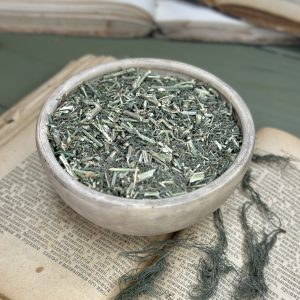 Солянка холмова (лат. Salsola collina)