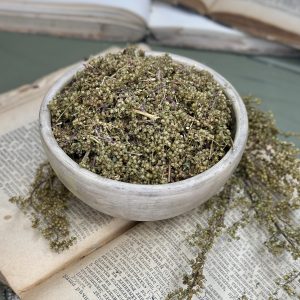 Полин однорічний (лат. Artemisia annua)