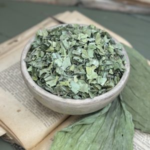Подорожник (лат. Plantago major)