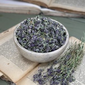 Чебрець повзучий (лат. Thymus serpyllum)