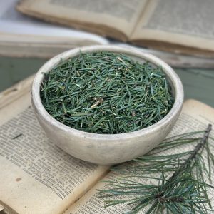 Сосна звичайна хвоя (Pinus sylvestris)