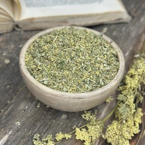 Таволга звичайна (Лабазник) (лат. Filipendula ulmaria)