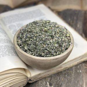 Пустирник звичайний (лат. Leonurus cardiaca)