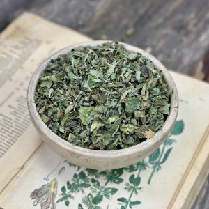 Меліса лікарська (лат. Melissa officinalis)