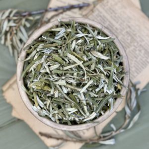 Обліпиха лист та гілки (лат. Hippophae rhamnoides)