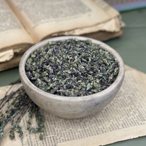 Очанка лікарська (лат. Euphrasia officinalis)