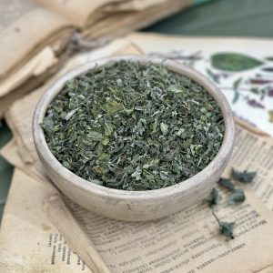 М’ята сунична (лат. Mentha suaveolens)
