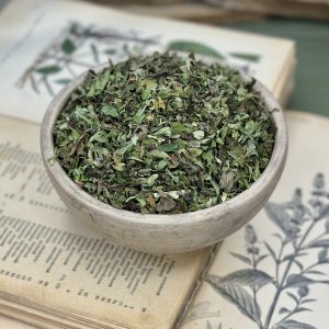 М’ята польова (лат. Mentha arvensis)