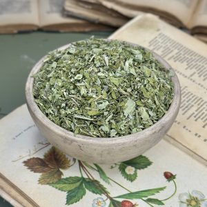 Суниця лісова лист (лат. Fragaria vesca)