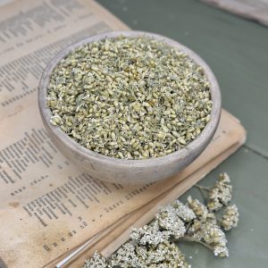 Деревій звичайний квіти (лат. Achillea millefolium)
