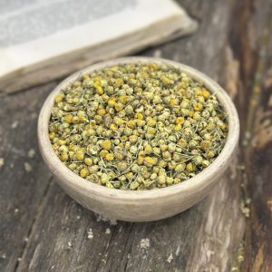 Піжма звичайна (лат. Tanacetum vulgare)