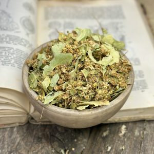 Липа (лат. Tilia cordata)