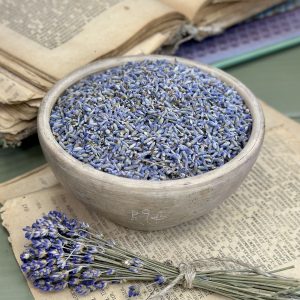 Лаванда (лат. Lavandula angustifolia)